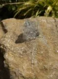 Stone Boulder SB81 Water Feature | Welsh Slate Water Features 07