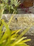 Stone Boulder SB71 water feature | Welsh Slate Water Features