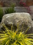 Stone Boulder SB72 | Welsh Slate Water Features