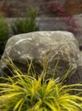 Stone Boulder SB72 | Welsh Slate Water Features