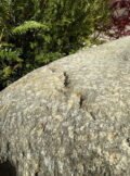 Stone Boulder SB75 | Welsh Slate Water Features 05