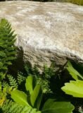 Stone Boulder SB90 | Welsh Slate Water Features 07