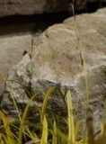 Stone Monolith SM307 | Welsh Slate Water Features 03