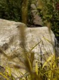 Stone Monolith SM308 Standing Stone | Welsh Slate Water Features 07