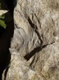 Stone Monolith SM308 Standing Stone | Welsh Slate Water Features 08