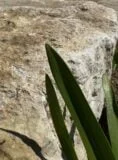 Stone Monolith SM308 Standing Stone | Welsh Slate Water Features