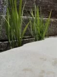 Sawn Top Boulder PSB11 | Welsh Slate Water Features 07
