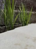 Sawn Top Boulder PSB11 | Welsh Slate Water Features 07