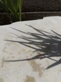 Sawn Top Boulder PSB11 | Welsh Slate Water Features 09