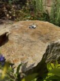 Stone Boulder SB92 Water Feature | Welsh Slate Water Features 07