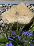 Stone Boulder SB95 Water Feature | Welsh Slate Water Features