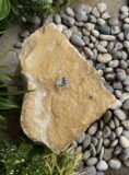 Stone Boulder SB95 Water Feature | Welsh Slate Water Features 05
