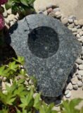 Stone Bird Bath SBB19 | Welsh Slate Water Features 04