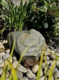 Stone Boulder SB111 Water Feature | Welsh Slate Water Features