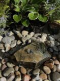 Slate Boulder SB113 Water Feature | Welsh Slate Water Features 04