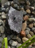Slate Boulder SB114 Water Feature | Welsh Slate Water Features 06