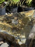 Slate Boulder SB116 Water Feature | Welsh Slate Water Features 01