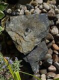 Slate Boulder SB118 Water Feature | Welsh Slate Water Features 06