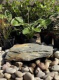 Slate Boulder SB123 Water Feature | Welsh Slate Water Features 08