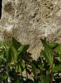 Stone Sculpture Base SSB01 | Welsh Slate Water Features 07