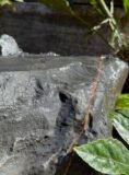 Stone Boulder SB138 Water Feature | Welsh Slate Water Features 06