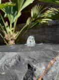 Stone Boulder SB138 Water Feature | Welsh Slate Water Features 09
