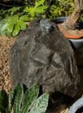 Glacial Boulder SB140 Water Feature | Welsh Slate Water Features 07