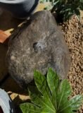 Glacial Boulder SB145 Water Feature | Welsh Slate Water Features 04