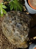 Glacial Boulder SB148 Water Feature | Welsh Slate Water Features 04