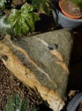 Glacial Boulder SB150 Water Feature | Welsh Slate Water Features 05