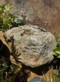 Quartz Boulder SB163 | Welsh Slate Water Features 03