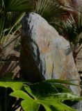Slate Monolith SM327 Standing Stone | Welsh Slate Water Features 04