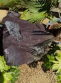 Slate Monolith SM329 Water Feature | Welsh Slate Water Features 08
