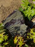 Slate Monolith SM335 Water Feature | Welsh Slate Water Features 05