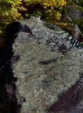 Slate Monolith SM335 Water Feature | Welsh Slate Water Features 07