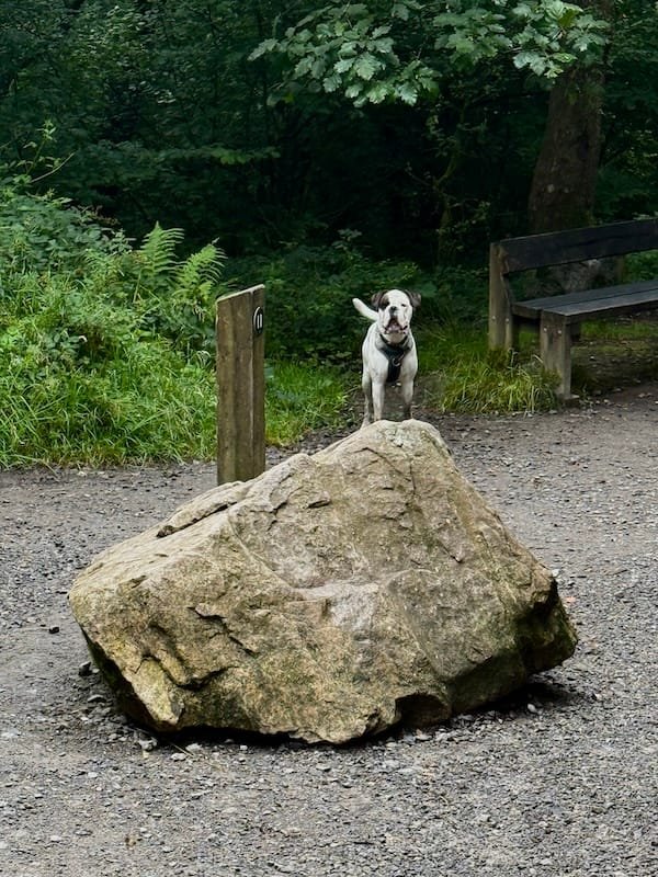 Four Waterfalls Walk | Welsh Slate Water Features 01