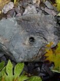 Slate Boulder SB177 Water Feature | Welsh Slate Water Features 09