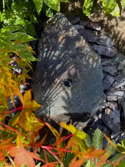 Slate Boulder SB178 Water Feature | Welsh Slate Water Features 01