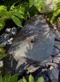 Slate Boulder SB178 Water Feature | Welsh Slate Water Features 07