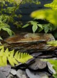 Slate Boulder SB179 Water Feature | Welsh Slate Water Features 01