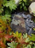 Slate Boulder SB179 Water Feature | Welsh Slate Water Features 04
