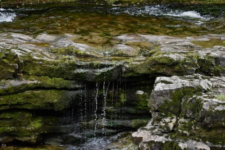 How Does A Water Feature Benefit Me and My Garden ? | Welsh Slate Water Features 10