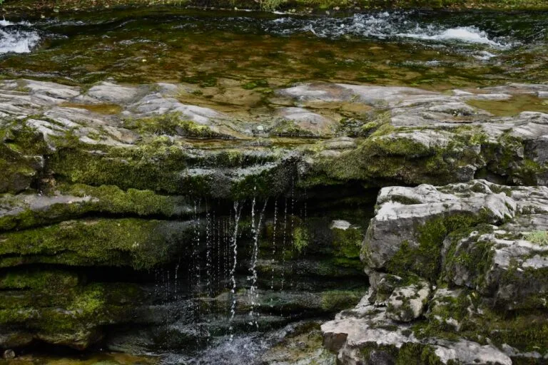 How Does A Water Feature Benefit Me and My Garden ? | Welsh Slate Water Features 10