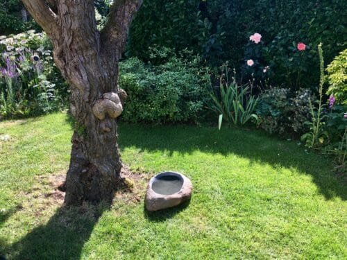 Stone Bowl Bird Bath SBB28 photo review