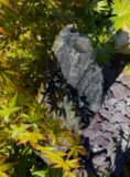Slate Monolith Water Feature SM361 | Welsh Slate Water Features 07