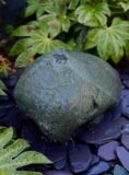 Glacial Boulder Water Feature SB188 | Welsh Slate Water Features 01