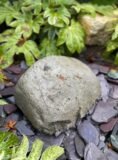 Glacial Boulder Water Feature SB190 | Welsh Slate Water Features 05