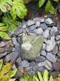 Glacial Boulder Water Feature SB192 | Welsh Slate Water Features 05