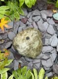 Glacial Boulder Water Feature SB194 | Welsh Slate Water Features 01