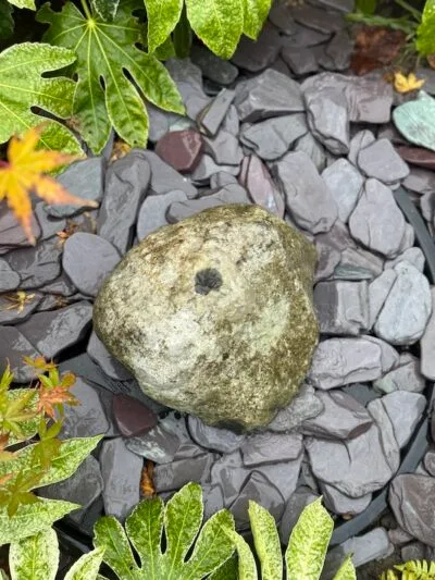 Glacial Boulder Water Feature SB194 | Welsh Slate Water Features 01